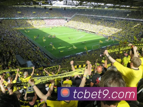 天辰娱乐官网服务体系